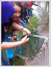 Children experiencing watershed science