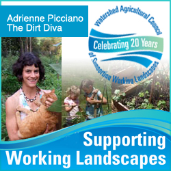 Dirt Diva Adrienne Picciano