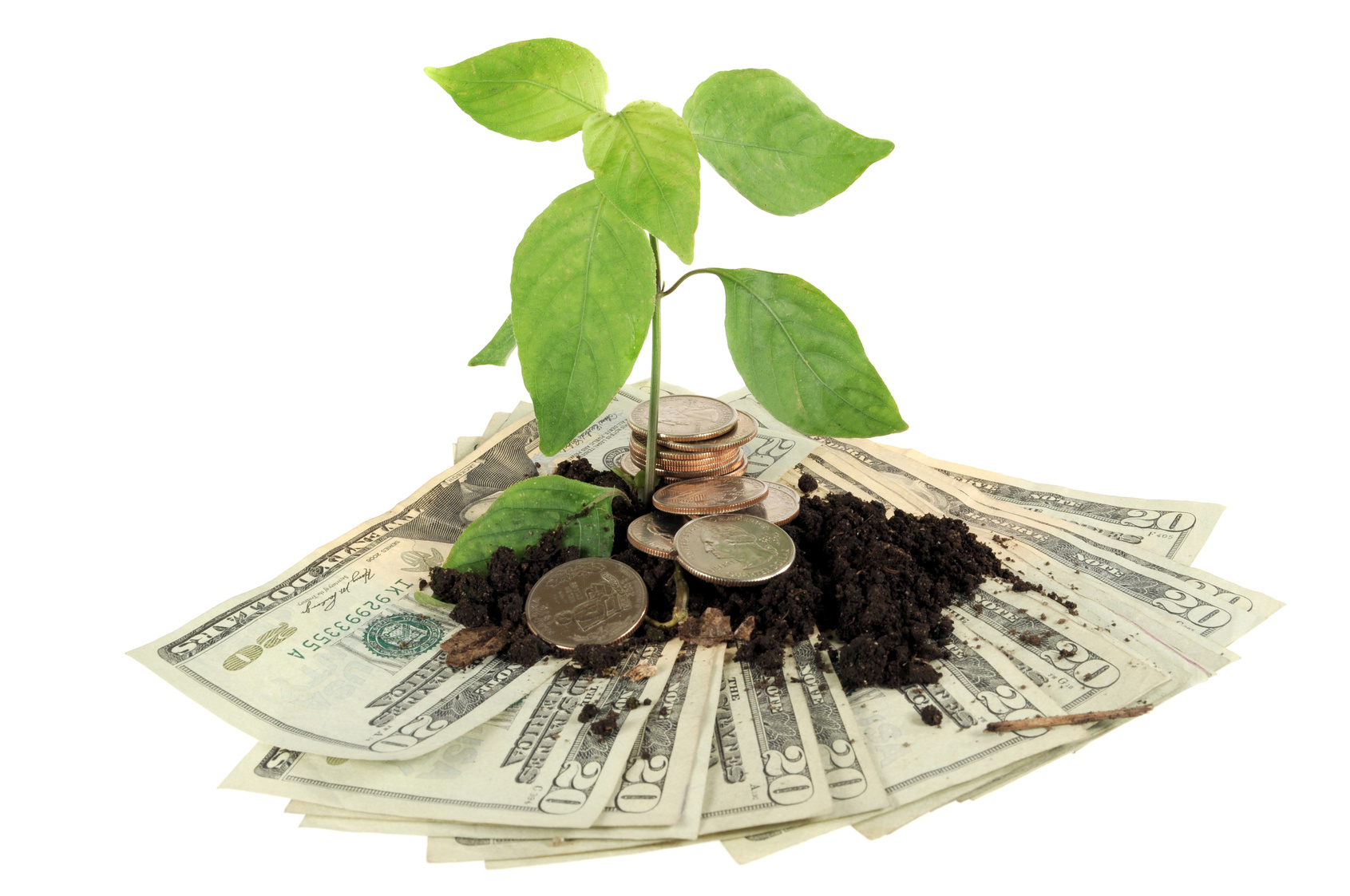 Financing Your Business Workshop for Farmers and Forest Professionals July 10 and 11 Small Business Finance Workshop, July 10 & 11