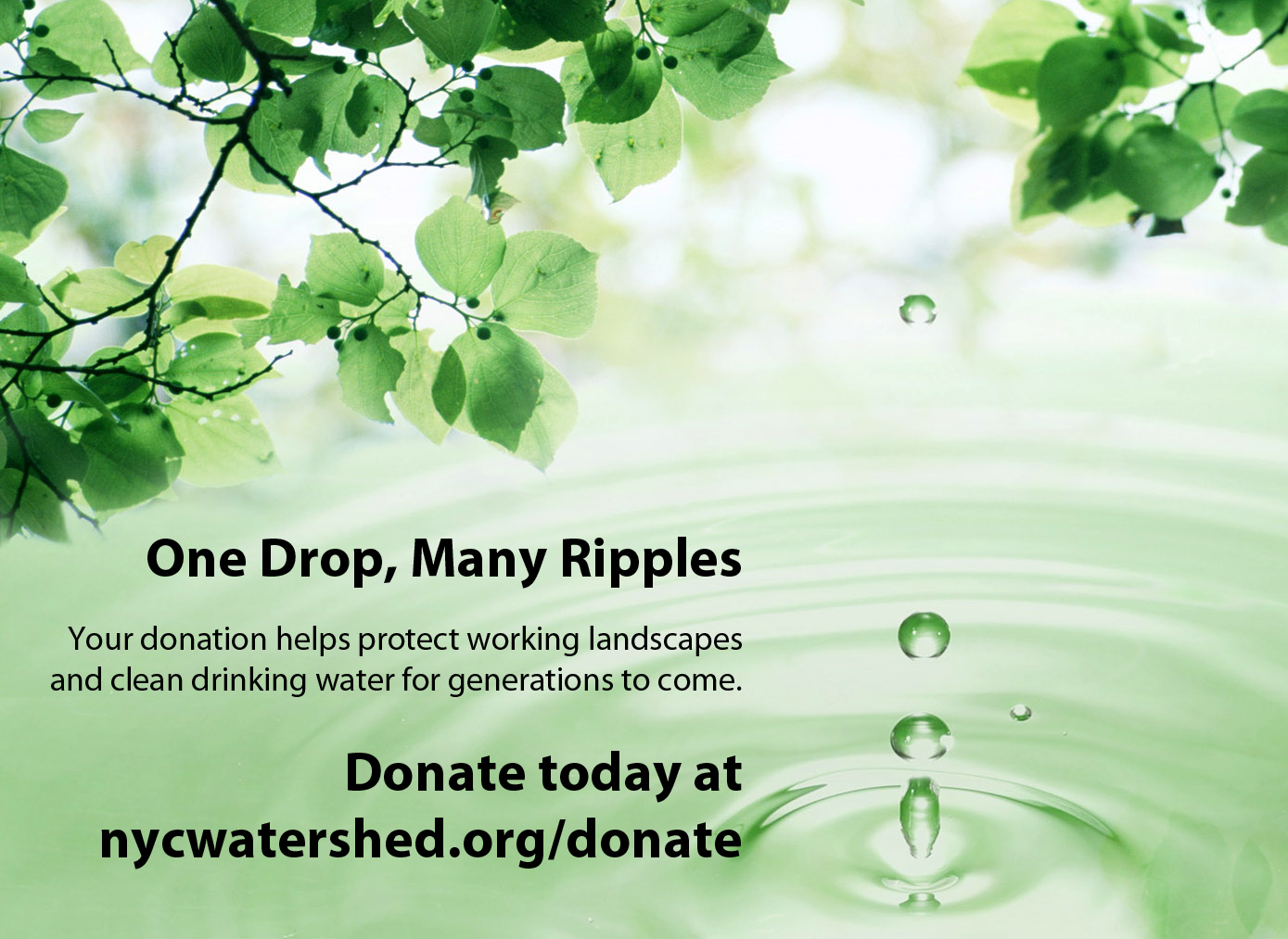 www.nycwatershed.org/donate www.nycwatershed.org/donate