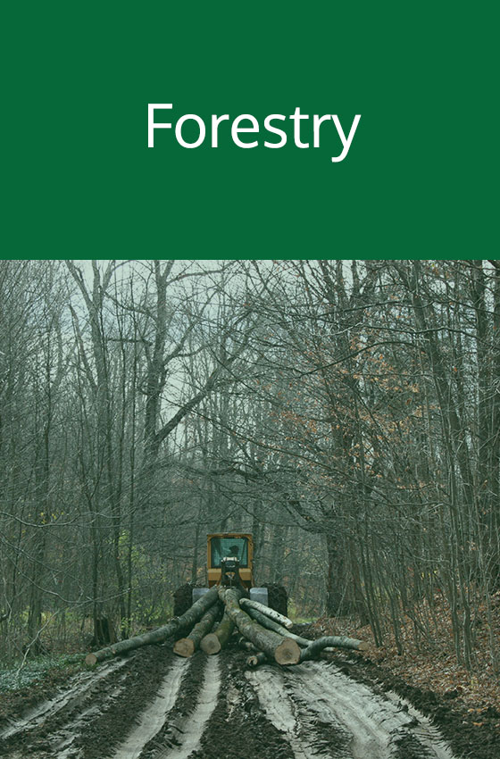 forestry-callout