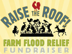 RAISE_THE_ROOF_fundraiser_flyer_2011_web
