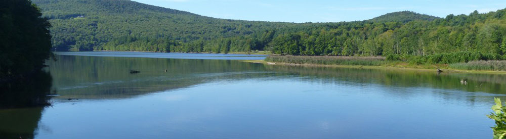 Rondout-1000x275