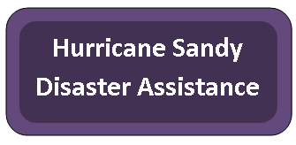 disaster-assistance-button