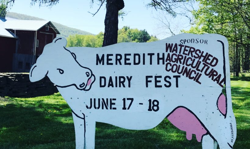 Meredith Dairy Fest 2017