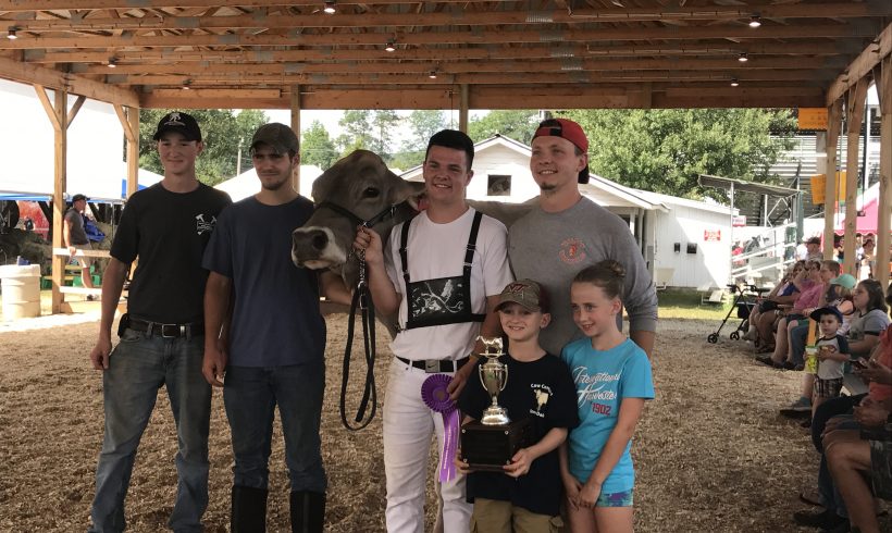 2017 Delaware County Fair