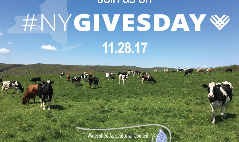 Join us on NY Gives Day