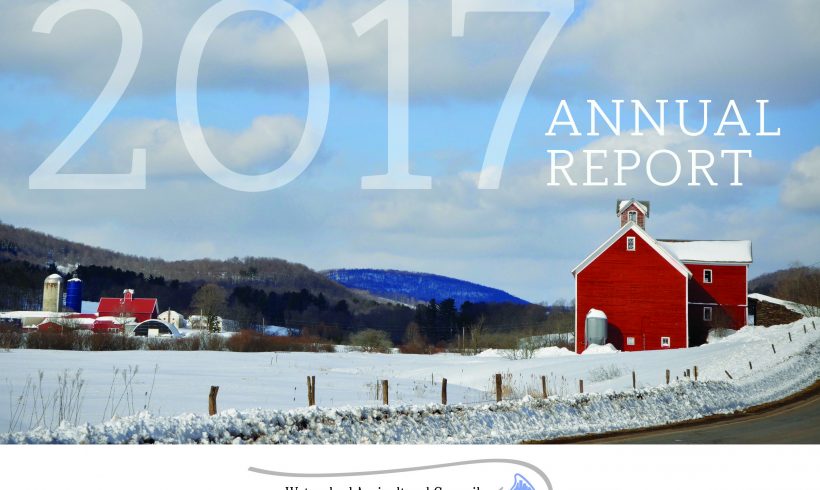 2017 Annual Report 2017 Annual Report
