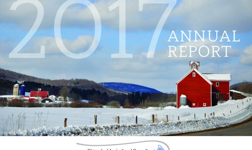 2017 Annual Report