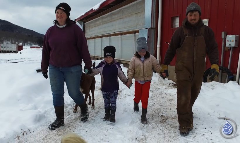 Boots in the Barnyard: Dar-View Farm Boots in the Barnyard: Dar-View Farm