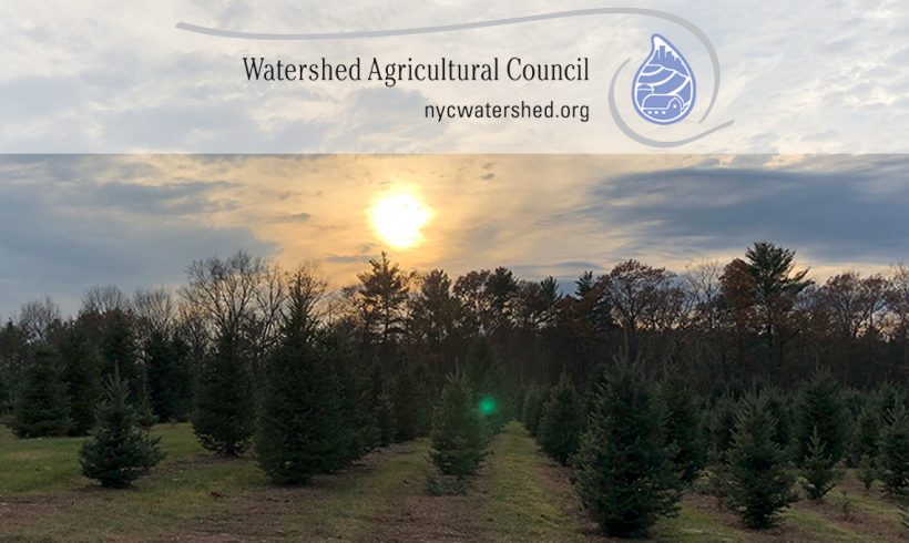 November 2018 ENews November 2018 ENews