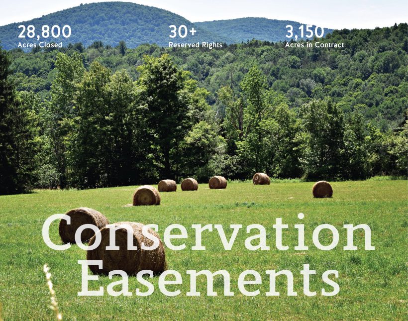 Forestry Easements: A Critical Role in Conservation