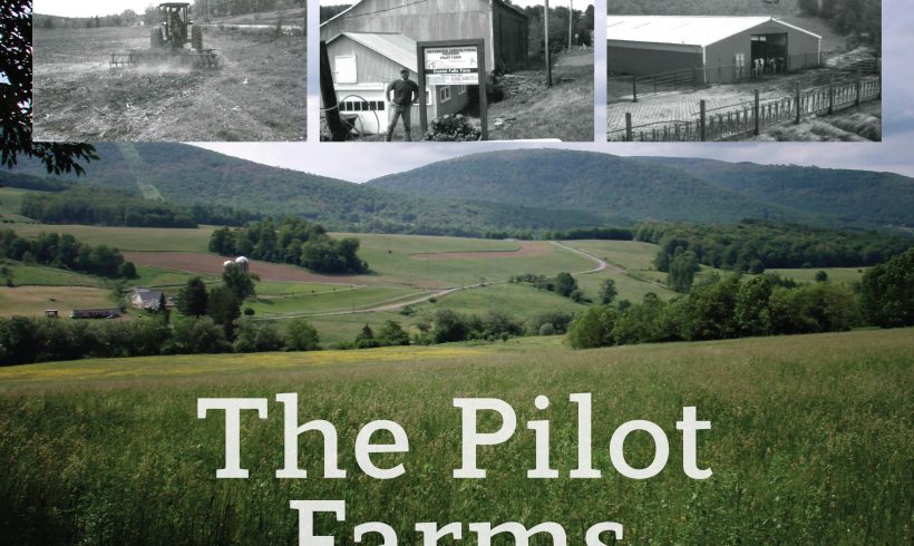 Celebrating 25 years: The Pilot Farms Celebrating 25 years: The Pilot Farms