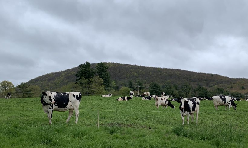 The National Academy of Sciences Visits Area Farms