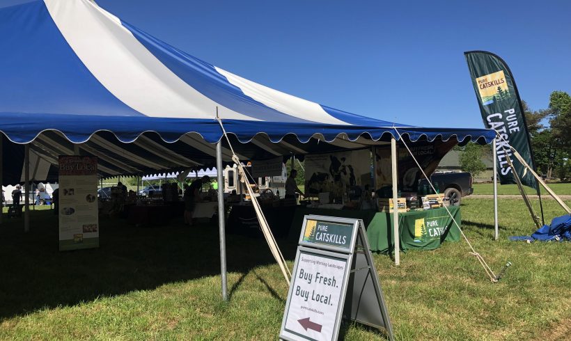 Meredith Dairy Fest 2019