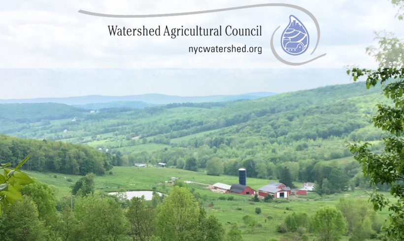 June 2019 ENews June 2019 ENews