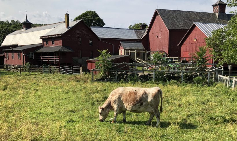 Council Awarded Climate Resilient Farming Grant