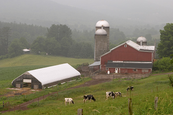 farm-with-barns