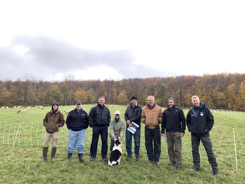 Welsh Farmers from the Brecon Beacons visit WAC Farms