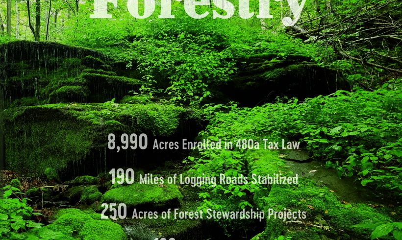 Forestry: Protecting Water Quality with Forestry Best Management Practices