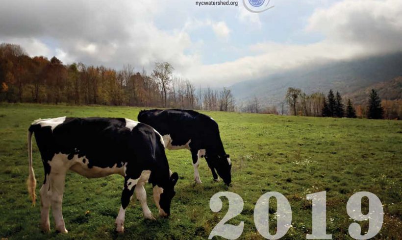 2019 Annual Report