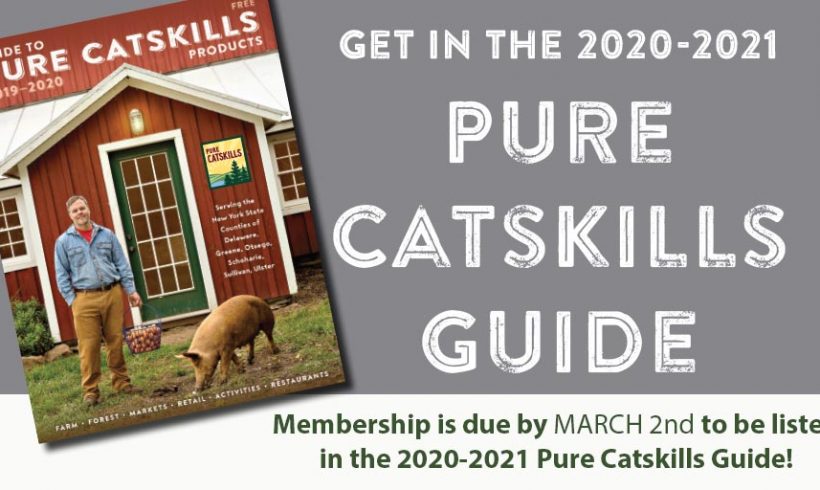 Get in the 2020-2021 Pure Catskills Guide