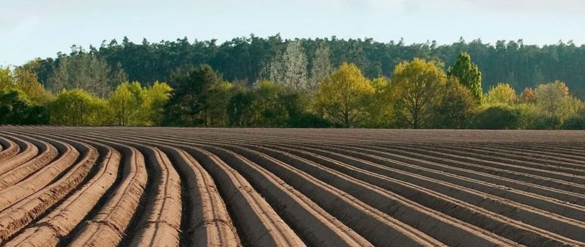 Paycheck Protection Program for Farmers