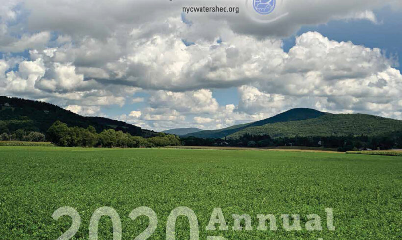 2020 Annual Report