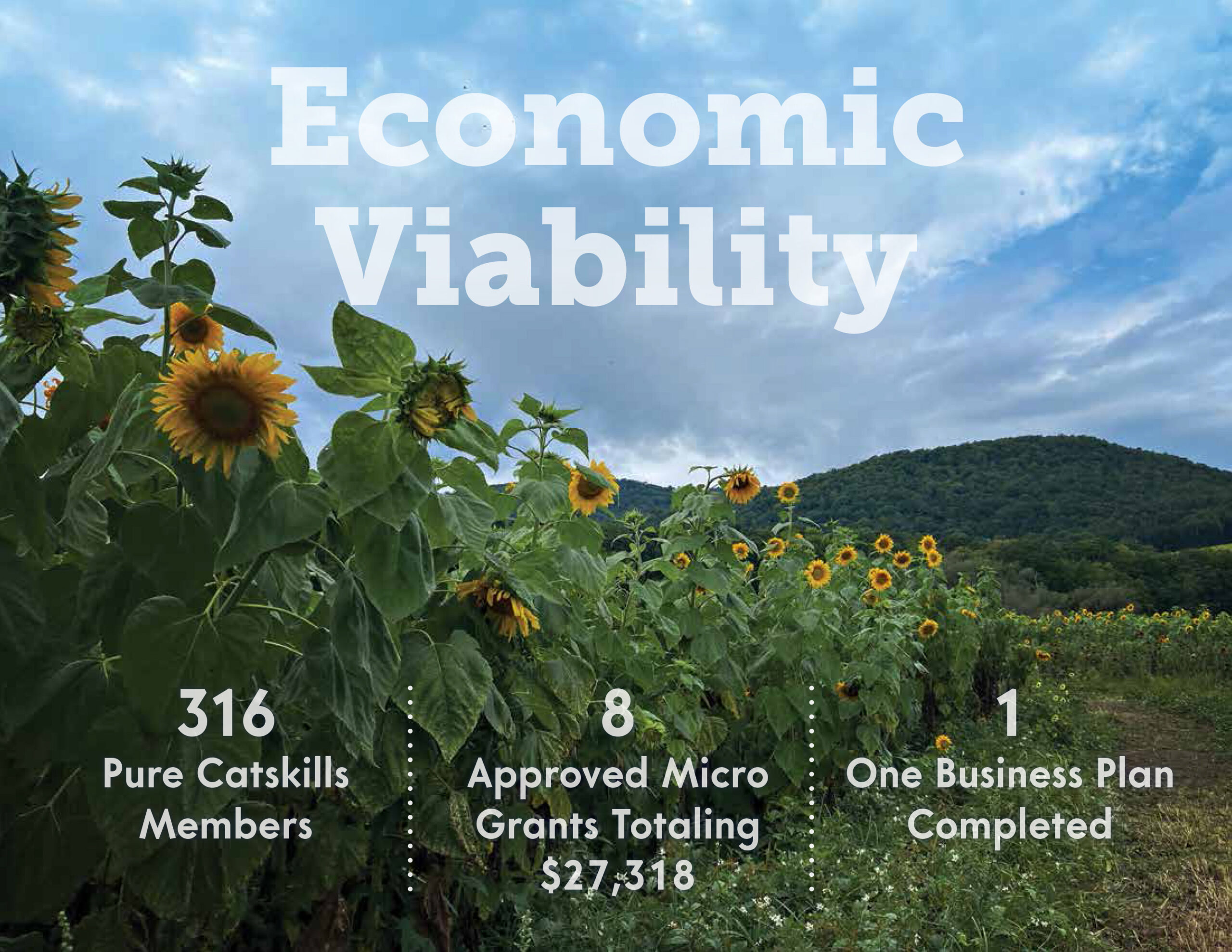 Economic Viability: Buying Local — A Way of Life