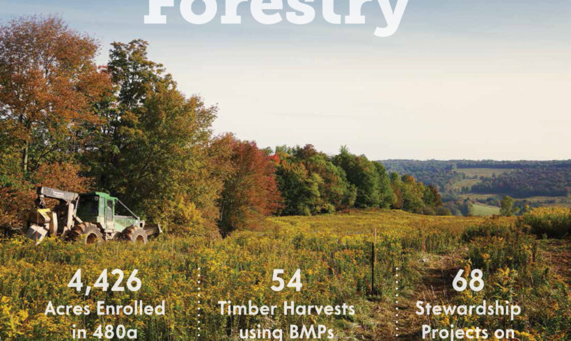 Forestry: Resiliency in a Time of Unprecedented Challenges