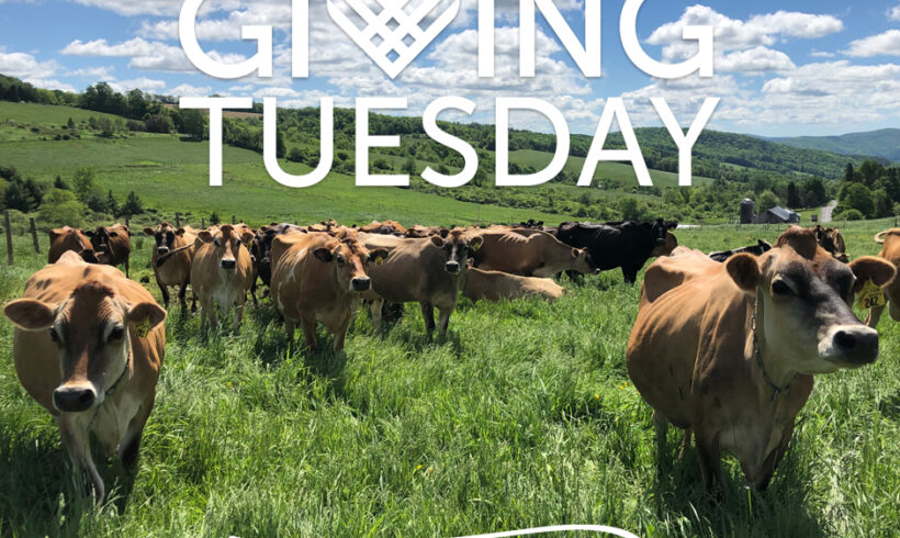 Join us for Giving Tuesday