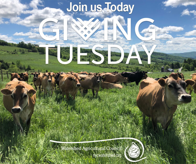 Join us for Giving Tuesday