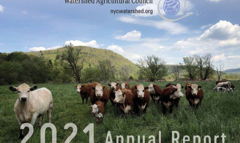 2021 Annual Report