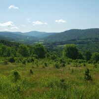 Conservation Easements: Stewarding the Ever Changing Lanscape