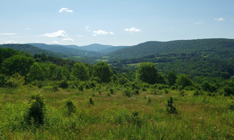 Conservation Easements: Stewarding the Ever Changing Landscape