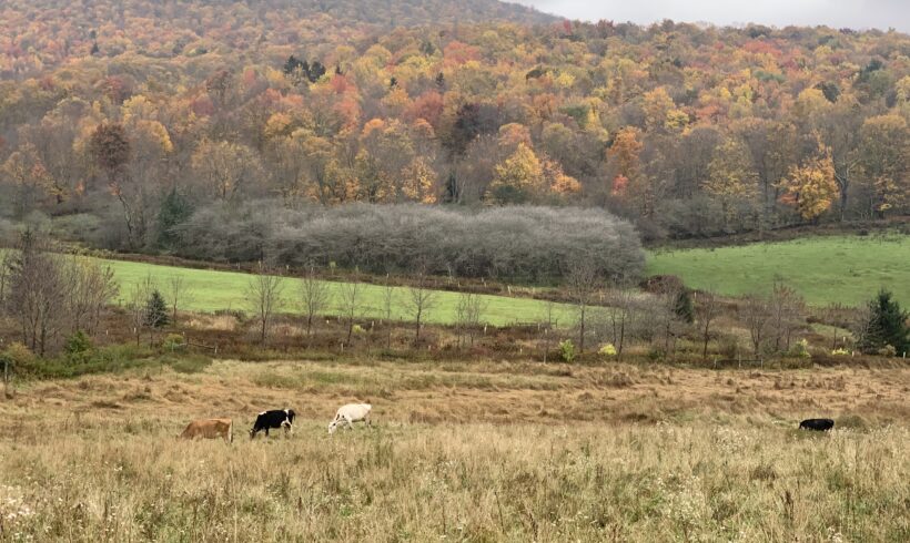 Agricultural Program: Webcrest Farm