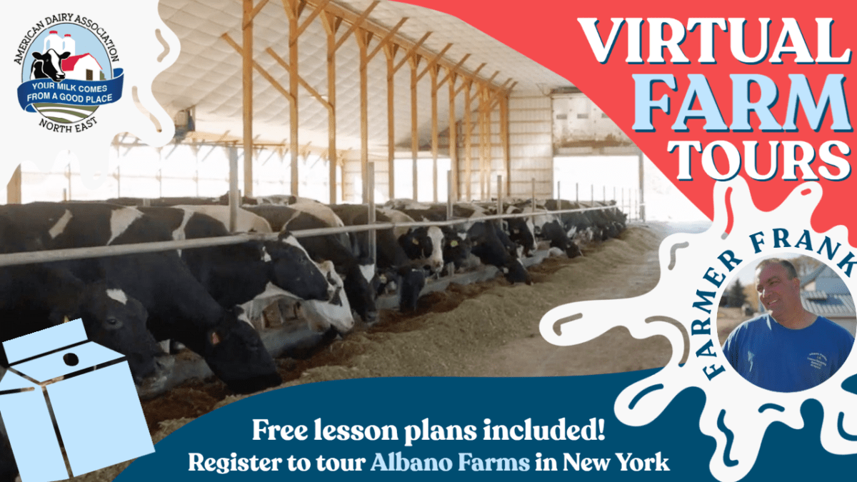 Virtual-Farm-Tour-Albano-Farm-1200×675