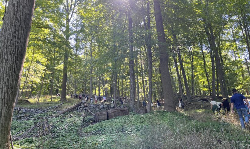 Forestry: Women Owning Woods in the NYC Watershed