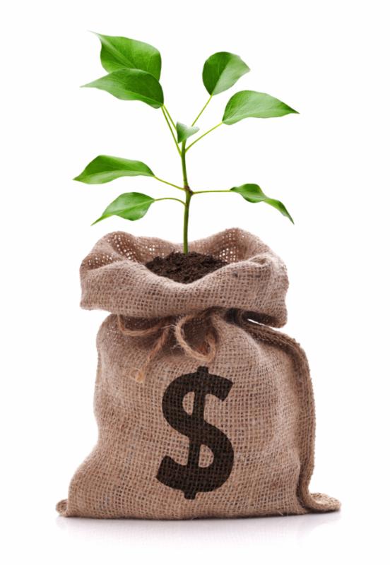 money_bag_tree