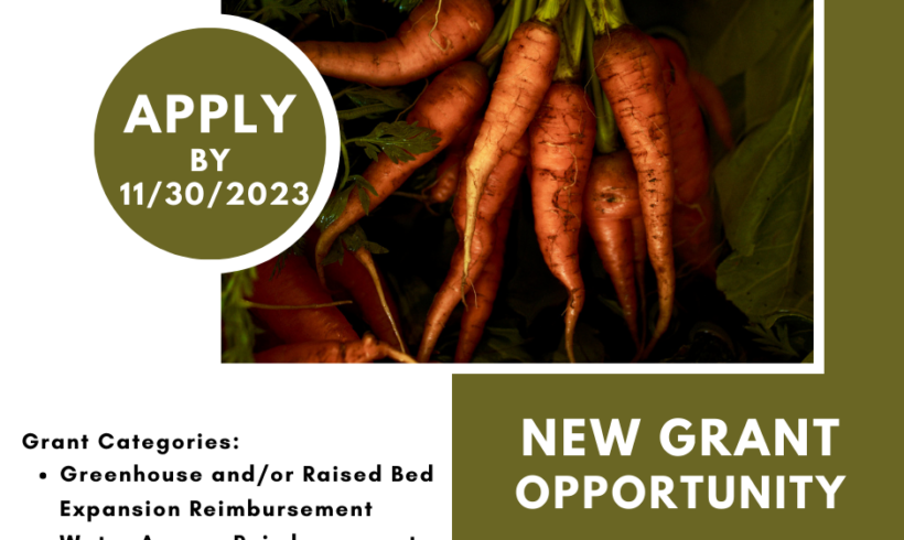 New Grant Opportunity for Vegetable and Fruit Expansion  in the NYC Watershed