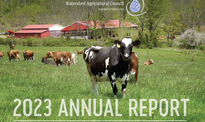 2023 Annual Report