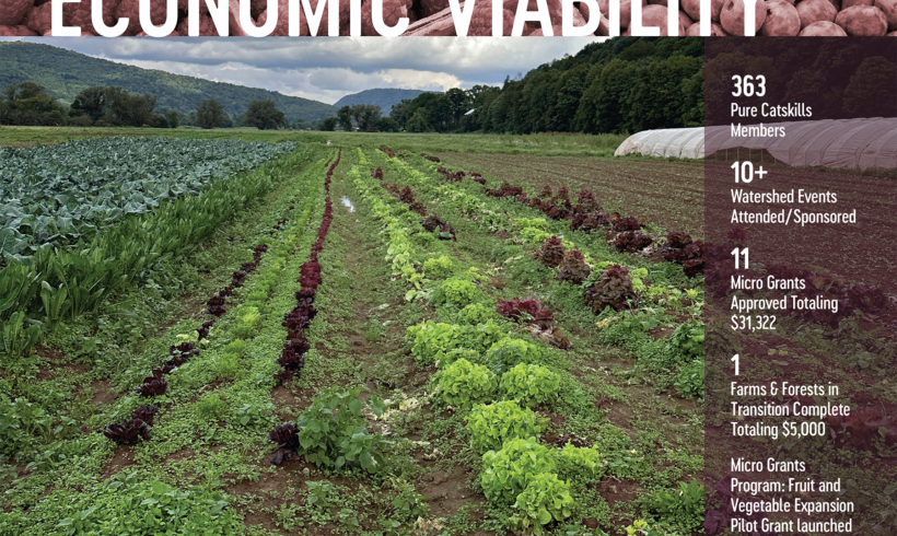 Economic Viability: Supporting Agricultural Expansion in the NYC Watershed