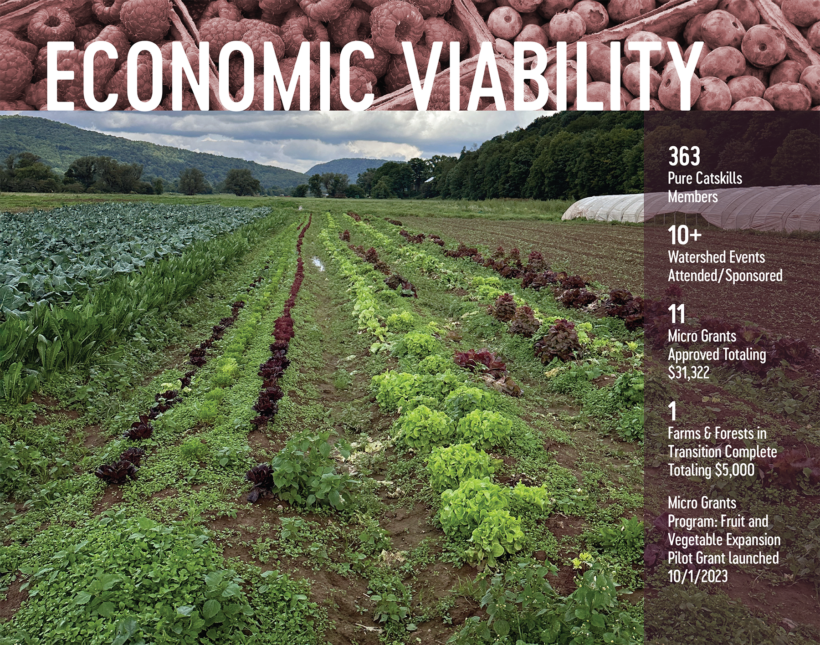 Economic Viability: Supporting Agricultural Expansion in the NYC Watershed