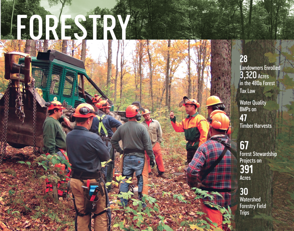 Forestry: Training Loggers in the NYC Watershed - Watershed ...
