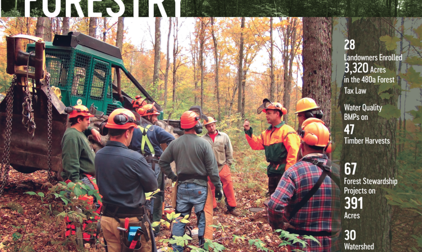 Forestry: Training Loggers in the NYC Watershed