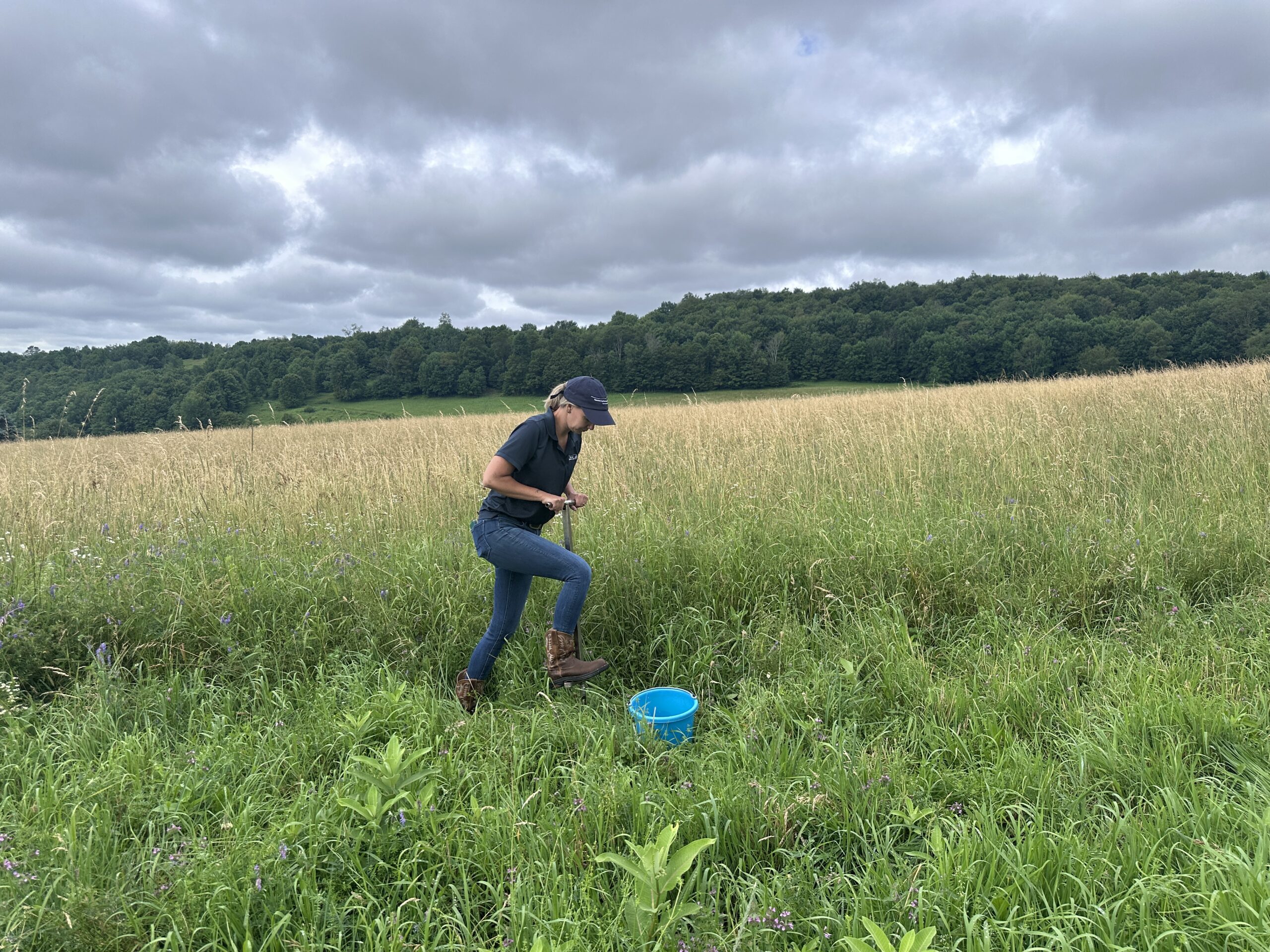Soil Sampling Fields in the NYC Watershed