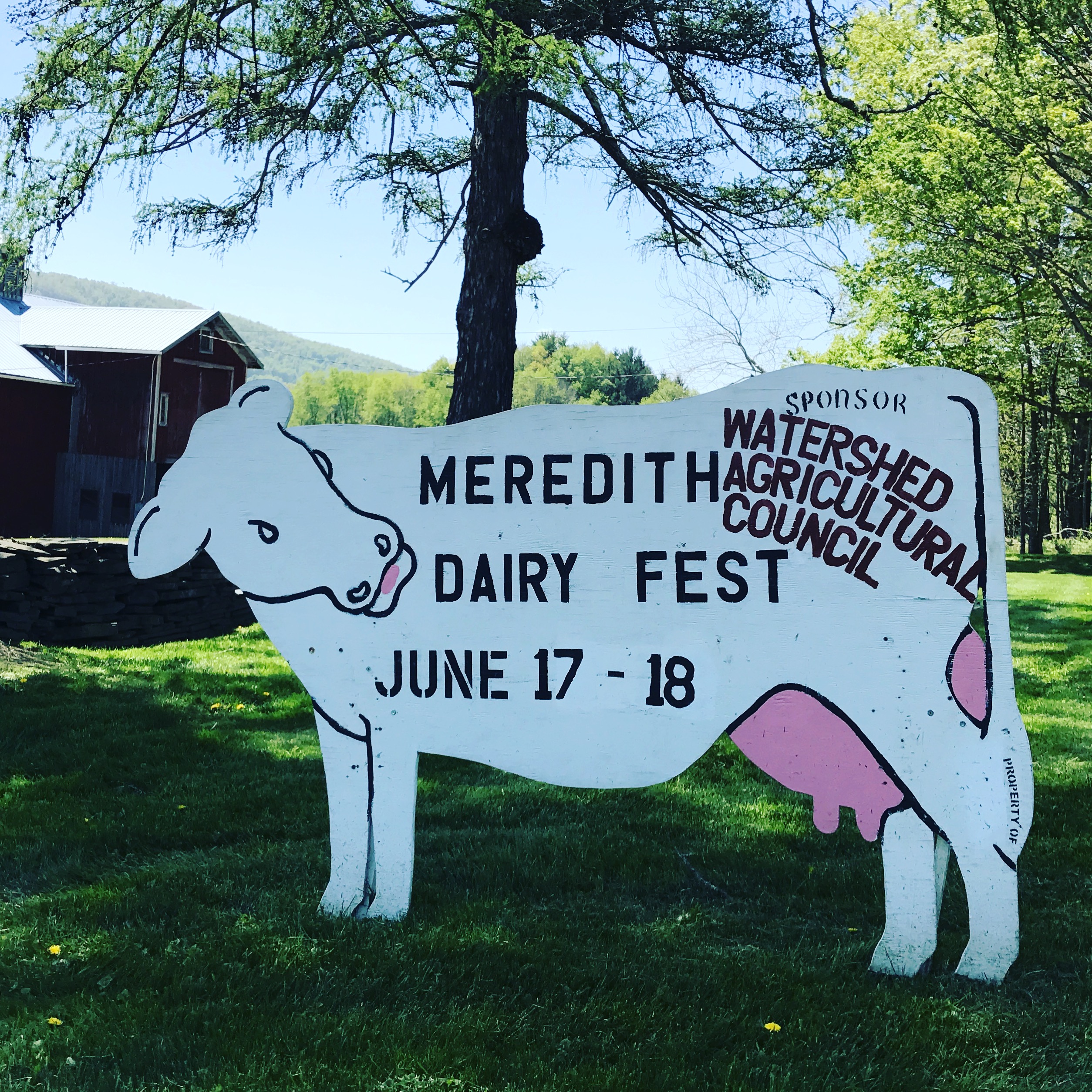 Dairy Fest 1